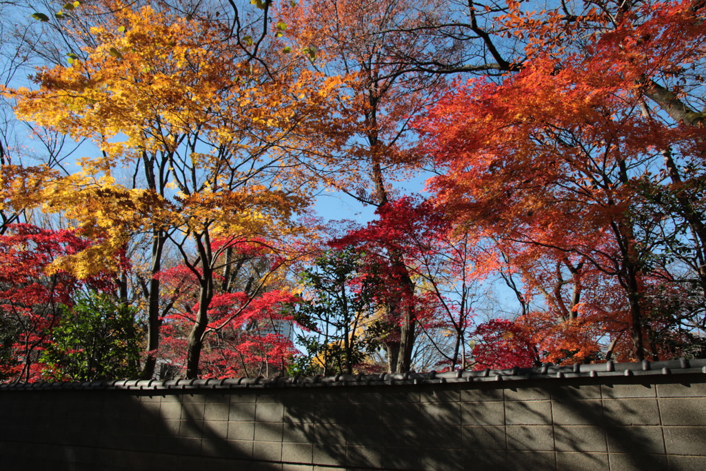 上野・東照宮