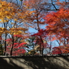 上野・東照宮