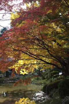 日比谷公園