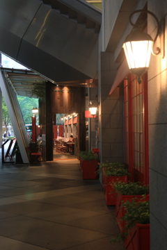 国際フォーラム