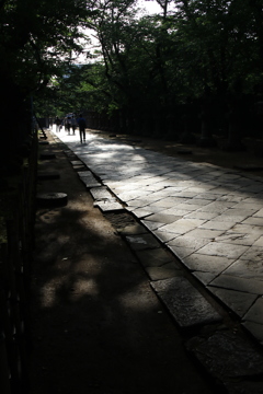 日差し揺れる石畳