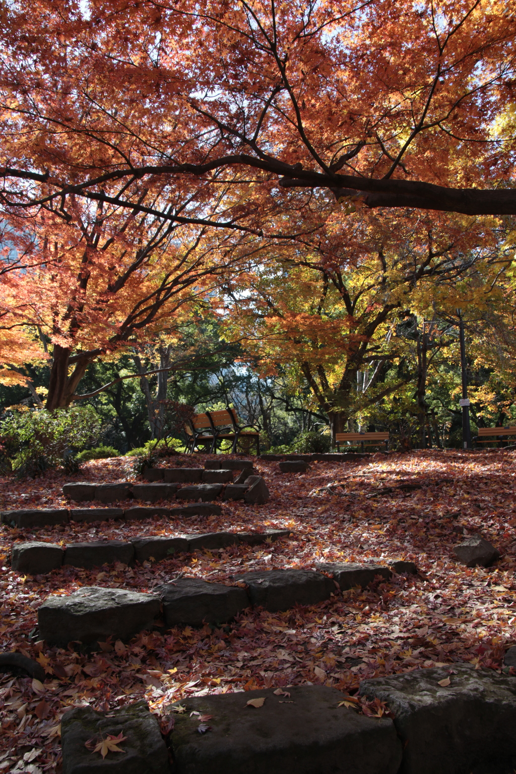 日比谷公園