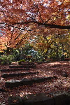 日比谷公園