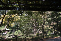 日比谷公園
