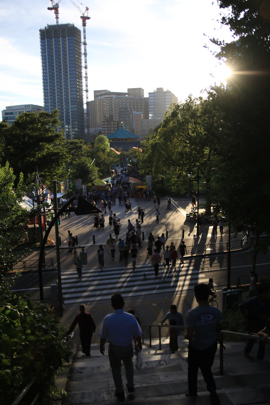 上野・不忍池の西日