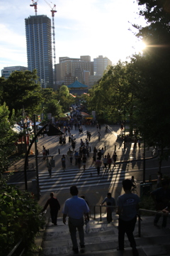 上野・不忍池の西日