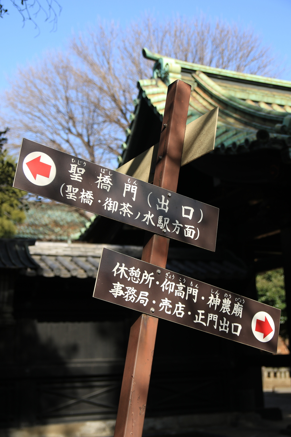 お散歩スナップ