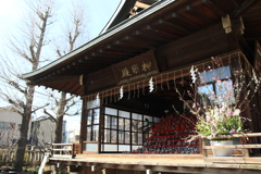 神社めぐり・すさのお神社