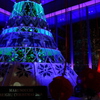 丸の内・クリスマスツリー