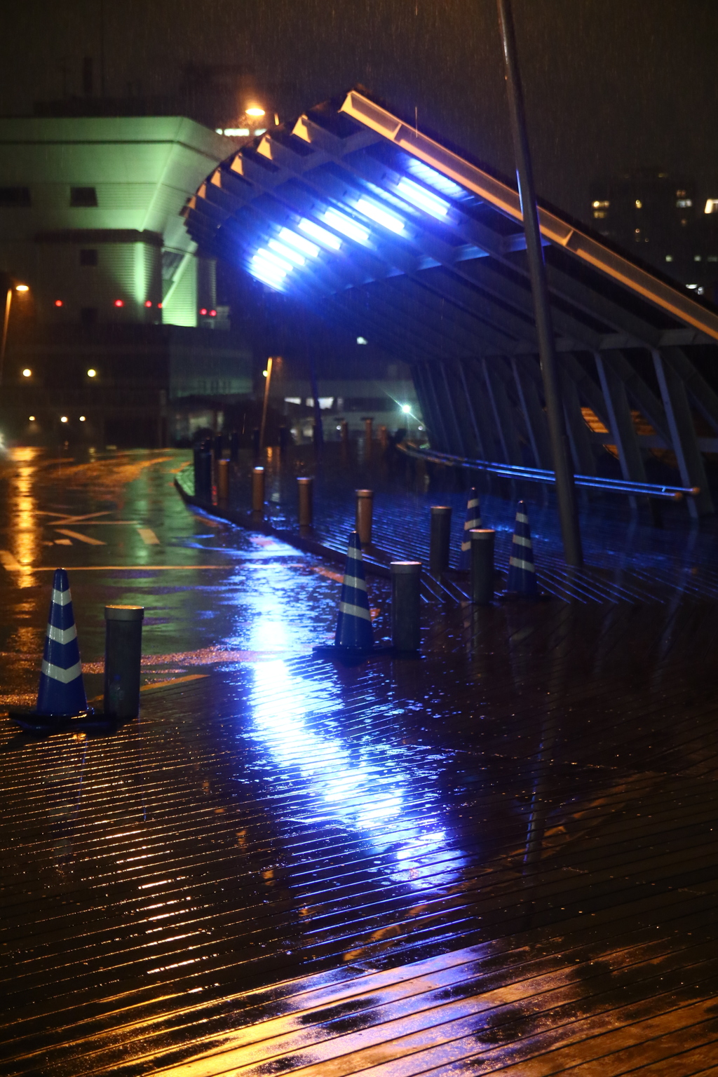雨の大桟橋
