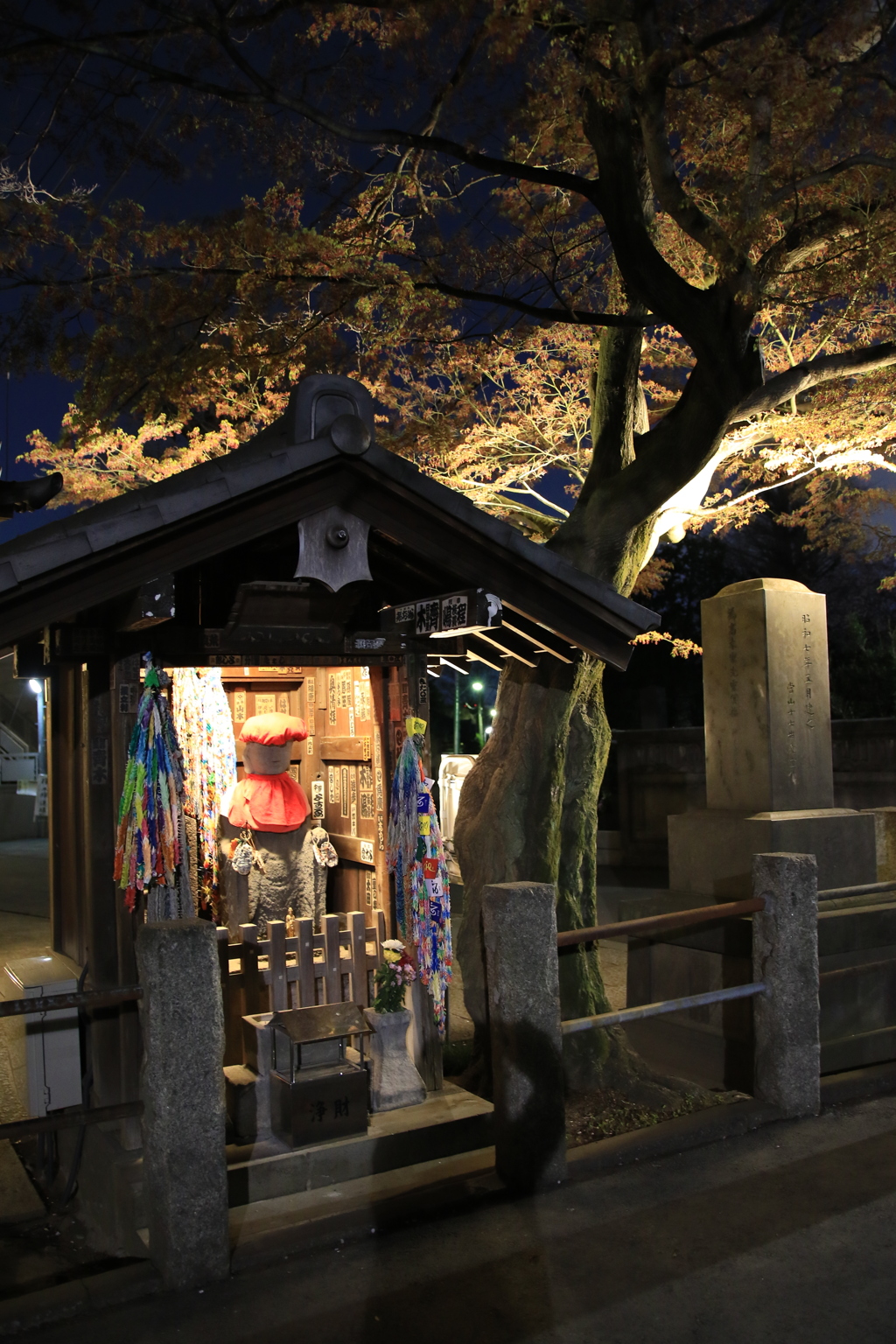 夜桜散歩