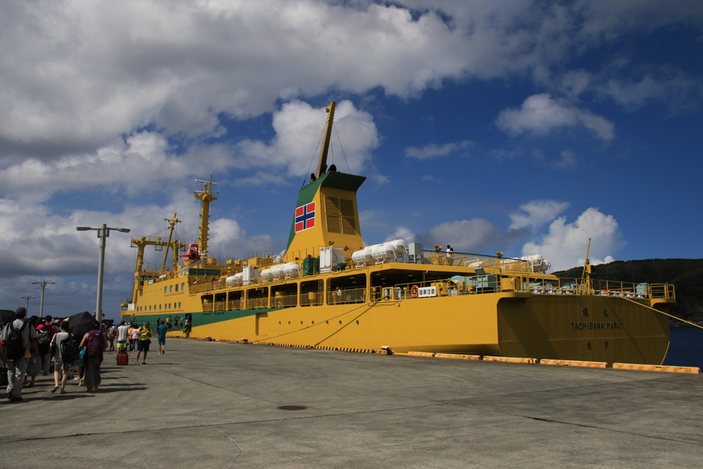 三宅島からの上り便橘丸。