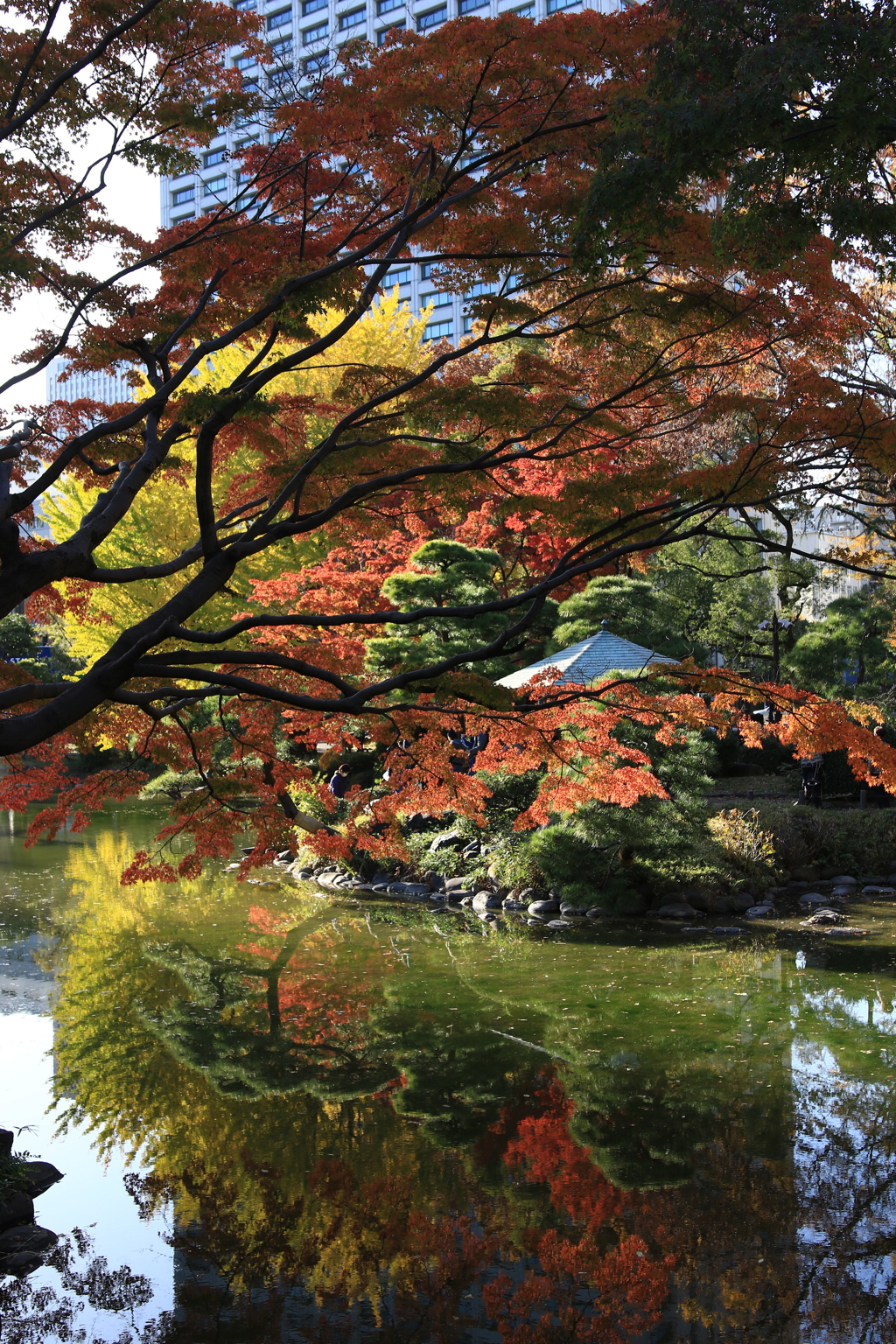 都心も色づき始めました・日比谷公園