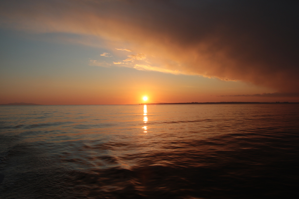 東京湾、元日の夕日