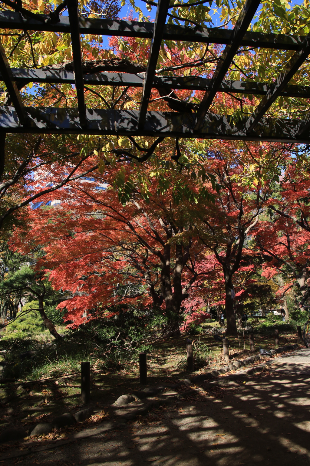 日比谷公園2015-4