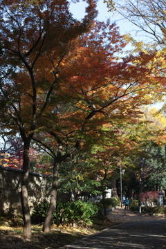 上野恩賜公園