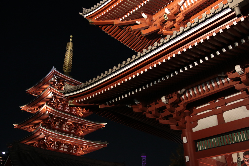 夜の浅草寺