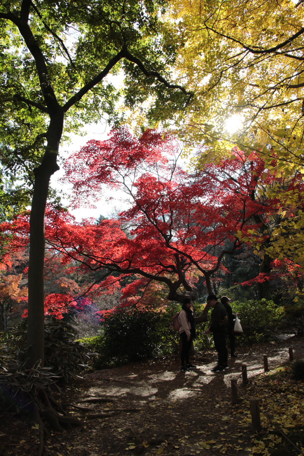 六義園