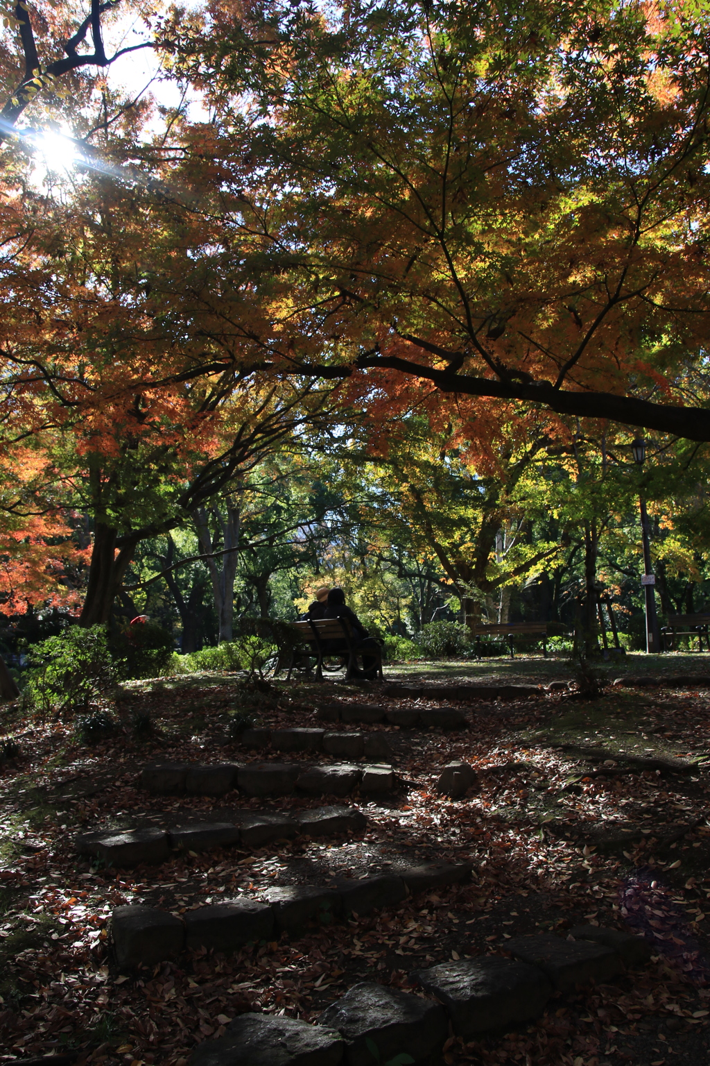 日比谷公園2015-5