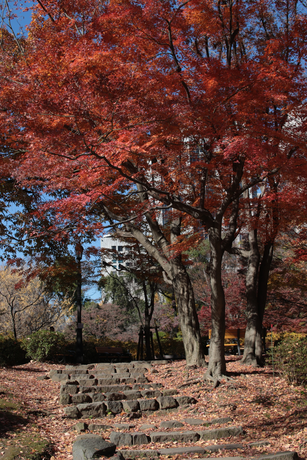 日比谷公園