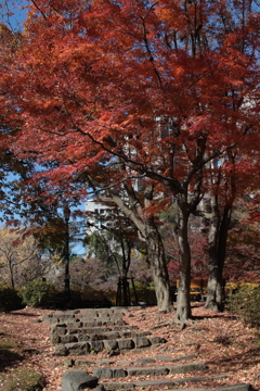 日比谷公園