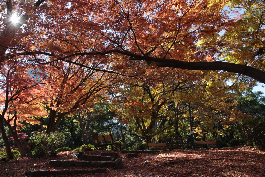 日比谷公園