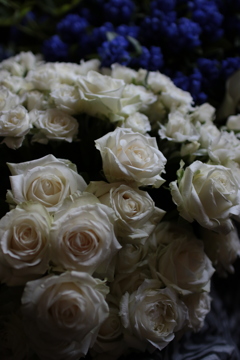 横浜山手西洋館