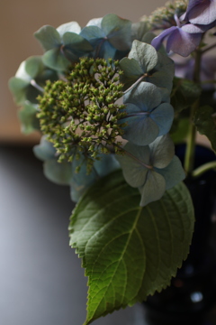 横浜山手西洋館