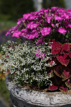 横浜山手西洋館