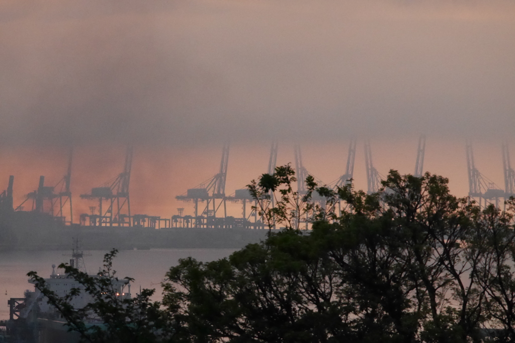 朝もやのサバンナ