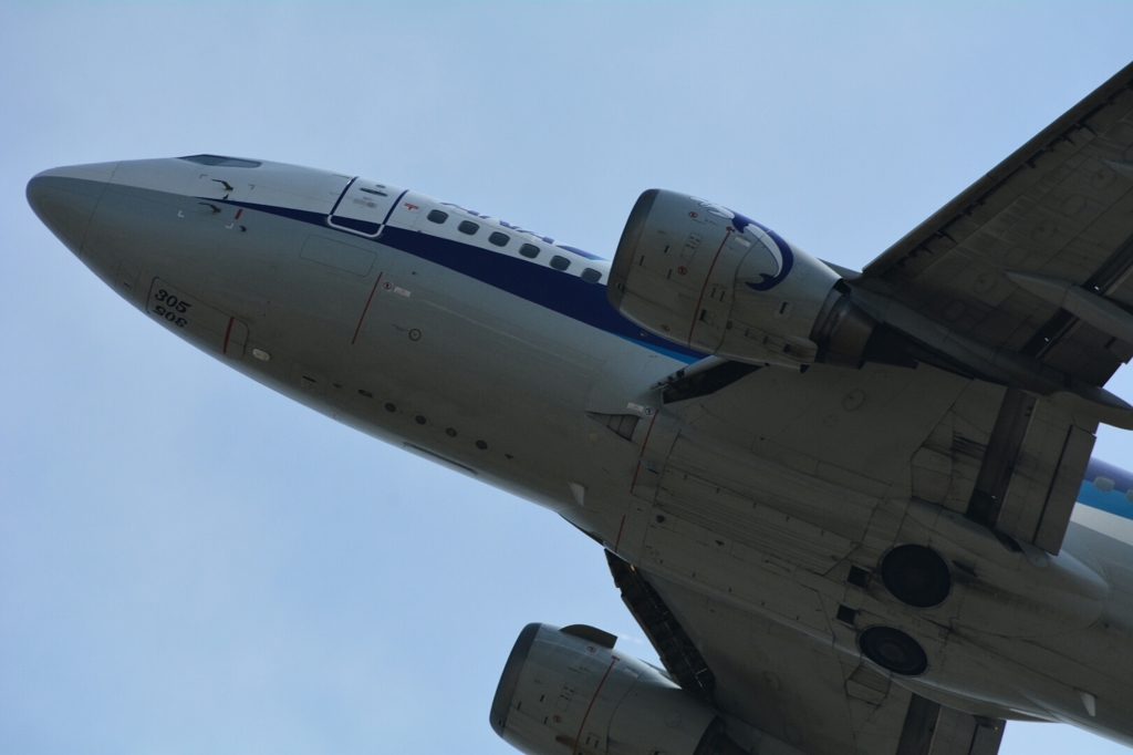 初飛行機撮影