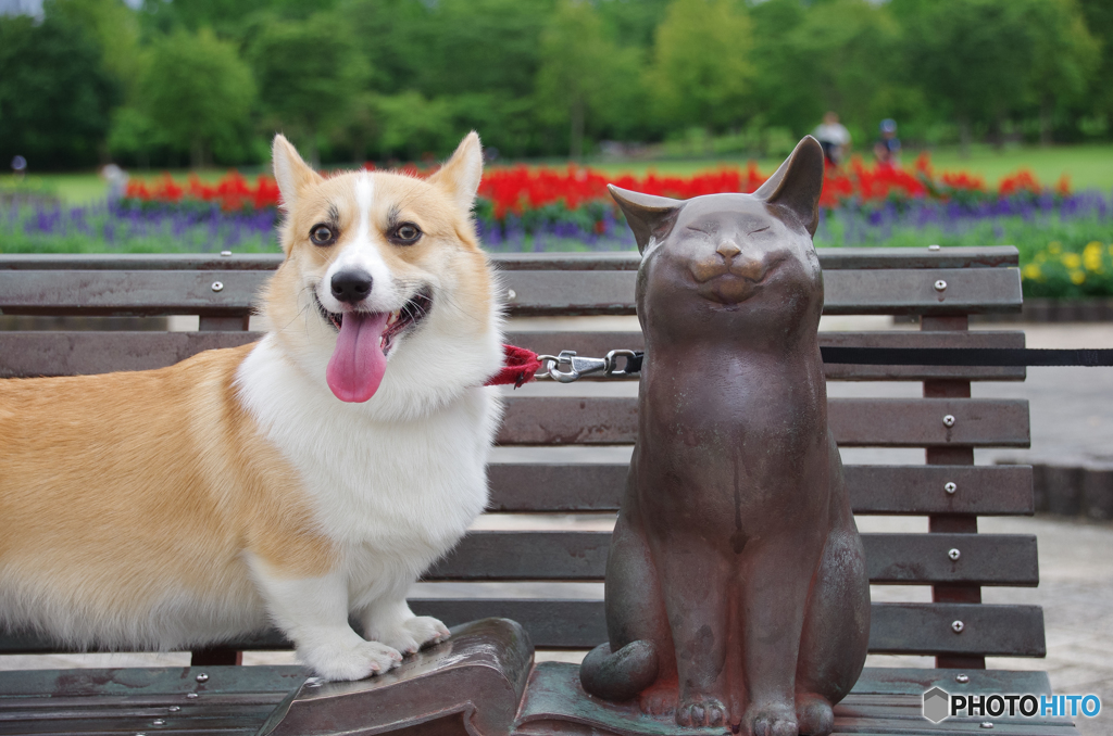 猫さんと記念写真　