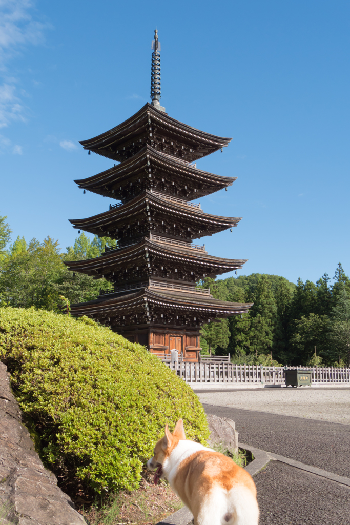 五重塔をバックに記念写真　とはいかない。