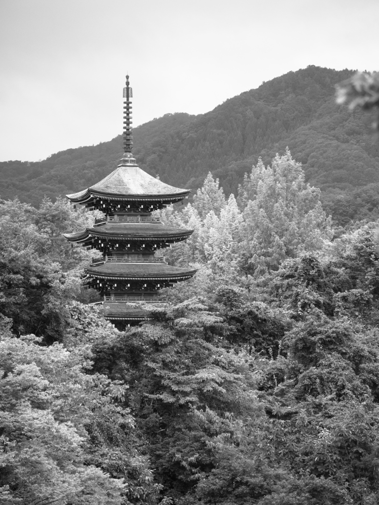 定義如来西方寺五重塔を望む１