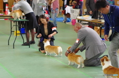 じっとしてるの辛いけど、おやつが欲しい　がまんする！