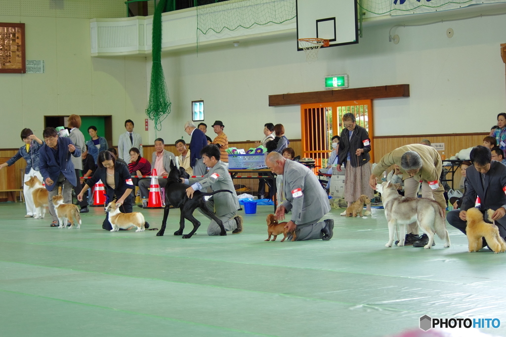 どう、ポーズ決まってる？