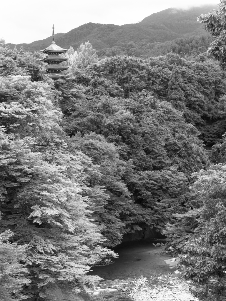 定義如来西方寺五重塔を望む２