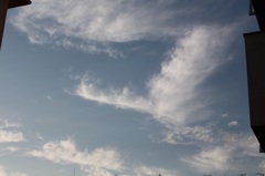 青空を駆ける白い鳥