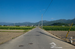 地元の農道