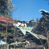 境界44「去年今年」