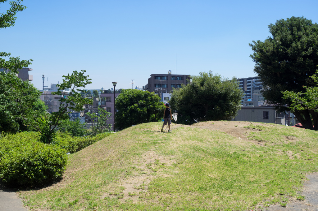 夏の少年