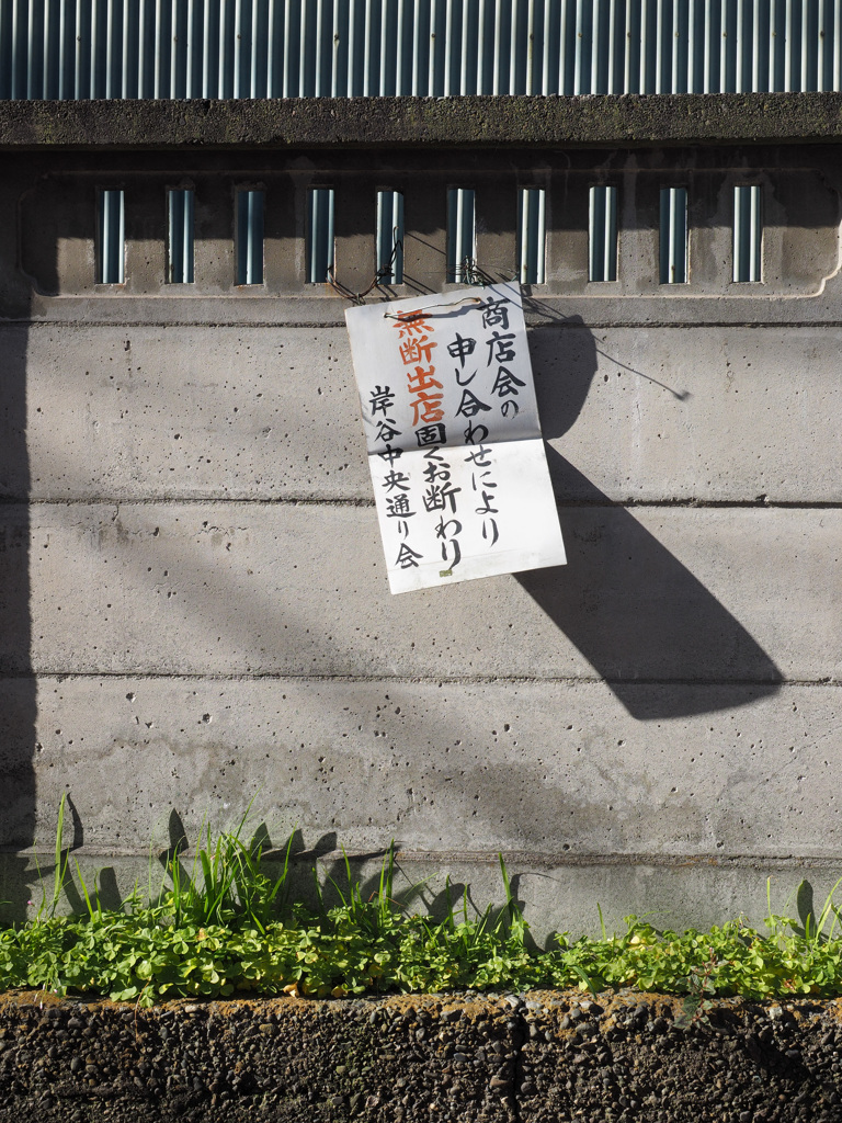 斜陽
