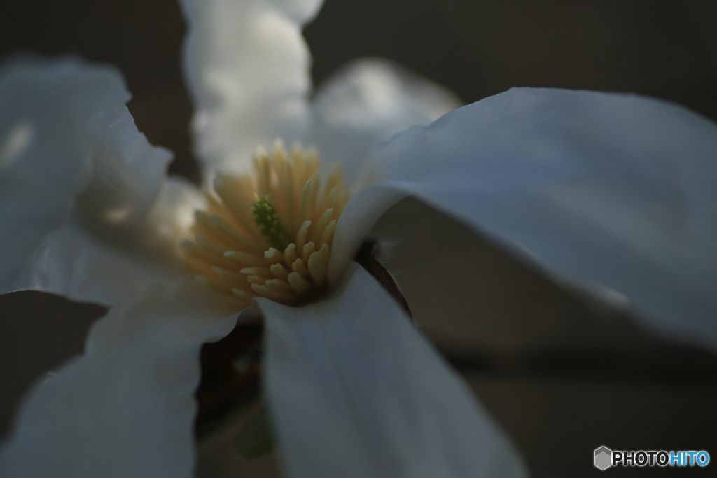 撮って出し(2024-04-12_14-52)-(Canon EOS 6D-90