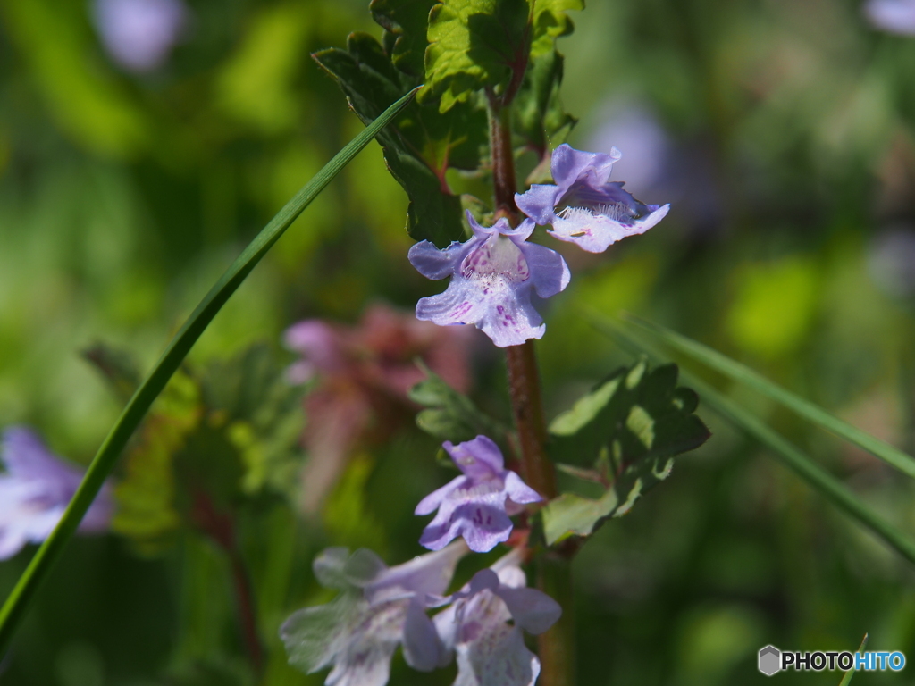 撮って出し-E-M5-150.0-41_04_18-0