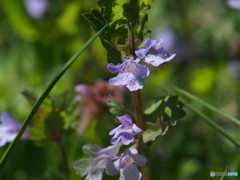 撮って出し-E-M5-150.0-41_04_18-0