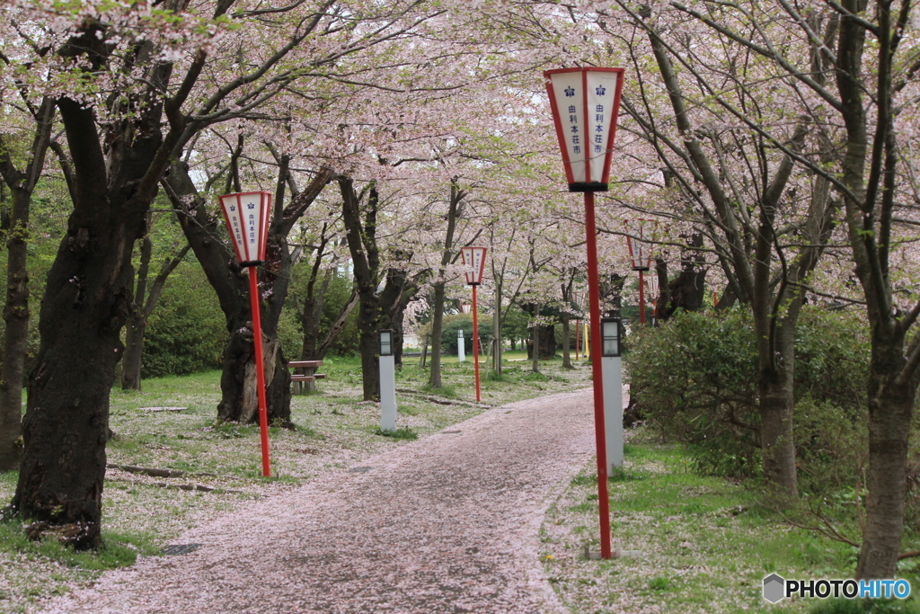 撮って出し(2025-04-24_08-28)-(Canon EOS 60D-5