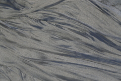 撮って出し(2025-05-26_13-49)-(Canon EOS 6D-13