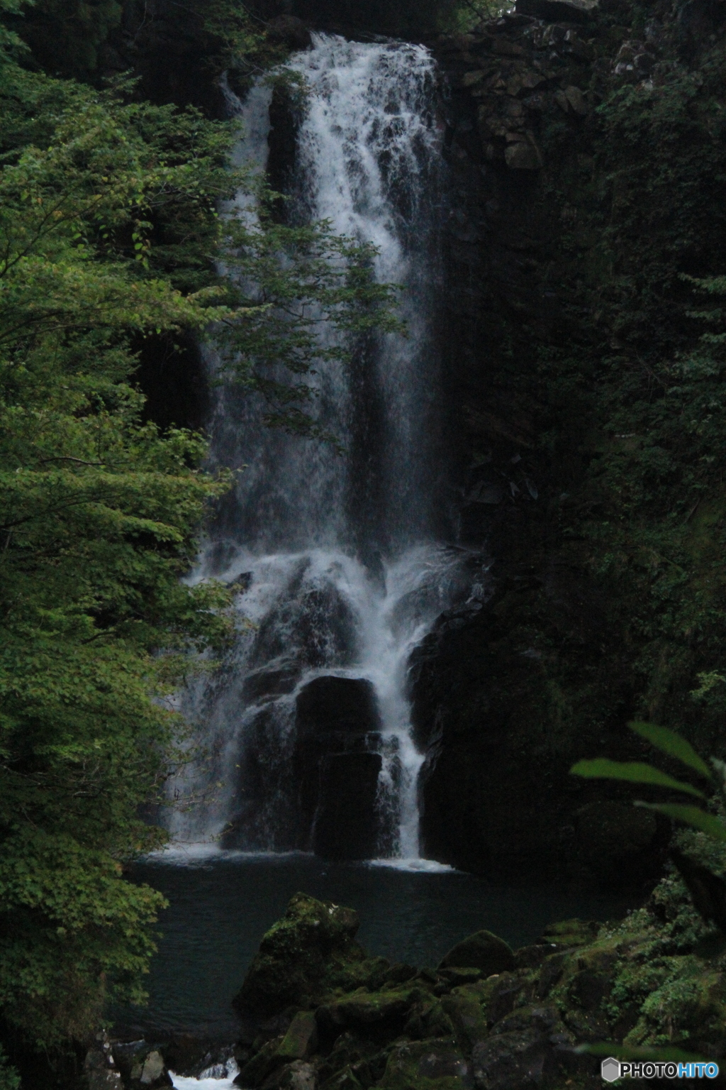 奈曽の白滝