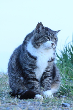 撮って出し(2024-04-23_18-26)-(Canon EOS 60D-9