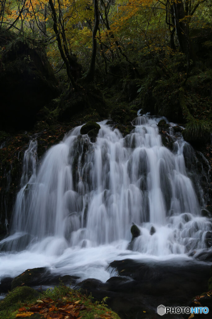 撮って出し(2025-11-04_07-06)-(Canon EOS 6D-28